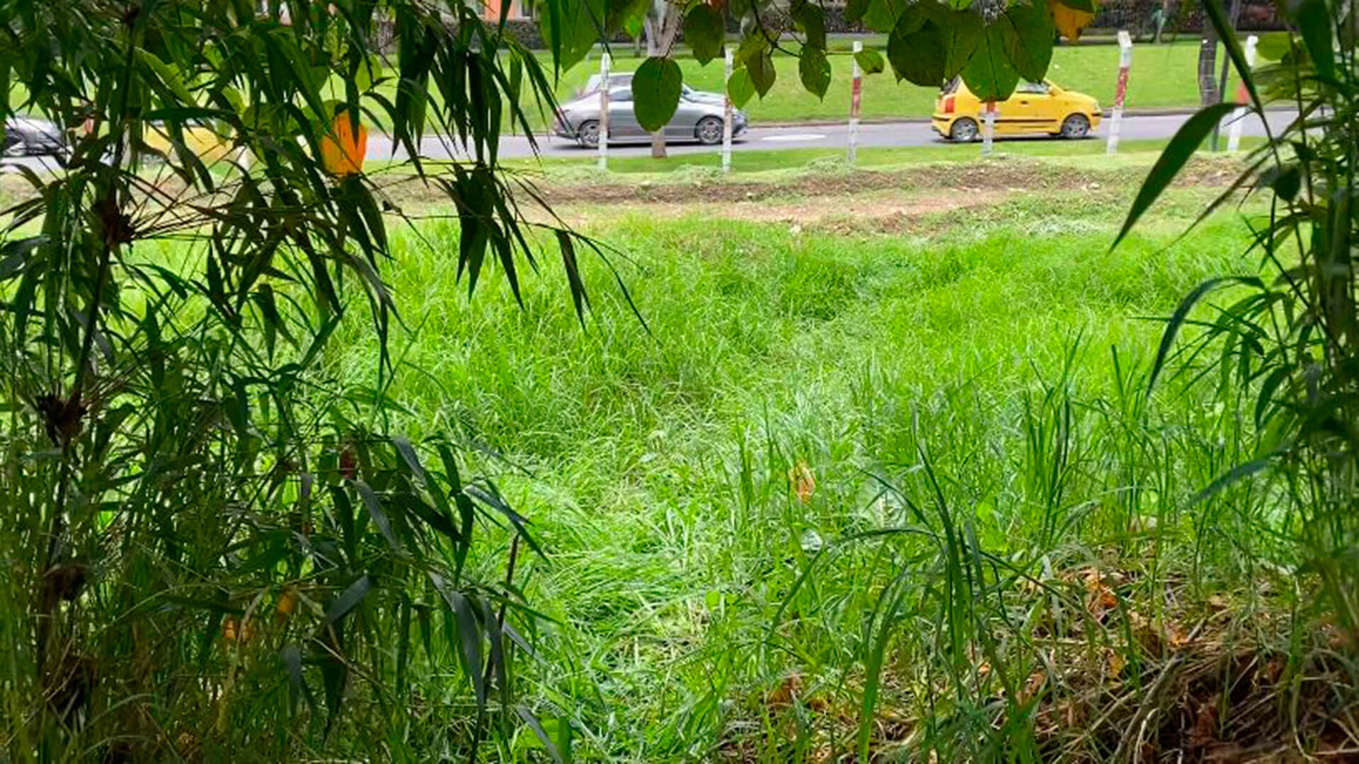SEMANA llegó al escondite del francotirador que asesinó a un poderoso esmeraldero en el norte de Bogotá. Estas son las impresionantes imágenes - Especiales Semana