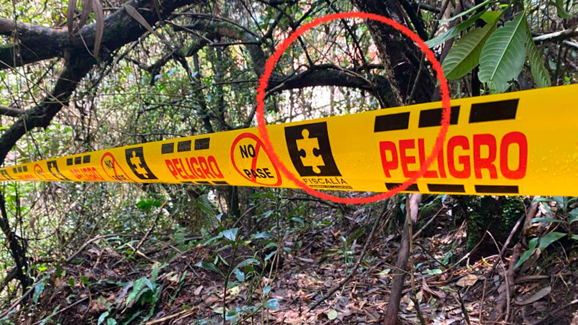 SEMANA llegó al escondite del francotirador que asesinó a un poderoso esmeraldero en el norte de Bogotá. Estas son las impresionantes imágenes - Especiales Semana