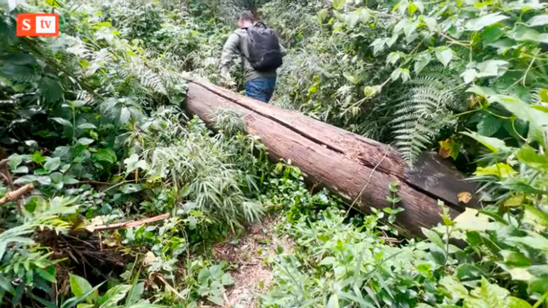 SEMANA llegó al escondite del francotirador que asesinó a un poderoso esmeraldero en el norte de Bogotá. Estas son las impresionantes imágenes - Especiales Semana