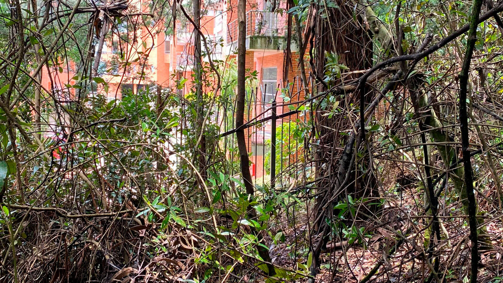 SEMANA llegó al escondite del francotirador que asesinó a un poderoso esmeraldero en el norte de Bogotá. Estas son las impresionantes imágenes - Especiales Semana