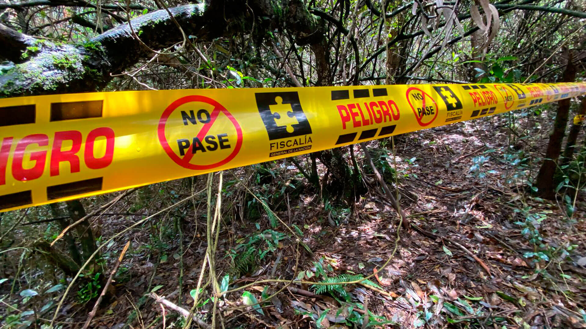 SEMANA llegó al escondite del francotirador que asesinó a un poderoso esmeraldero en el norte de Bogotá. Estas son las impresionantes imágenes - Especiales Semana